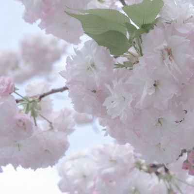 兽设原创构思技巧兽圈社群